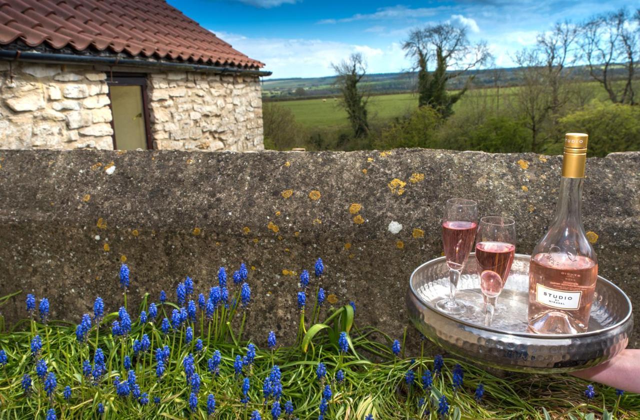 Valley View Farm Holiday Cottages Helmsley Exteriér fotografie